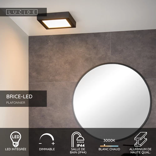 Lucide BRICE-LED - Plafonnier Salle de bains - LED Dim. - 1x22W 3000K - IP44 - Noir - USP